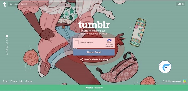 Tumblr