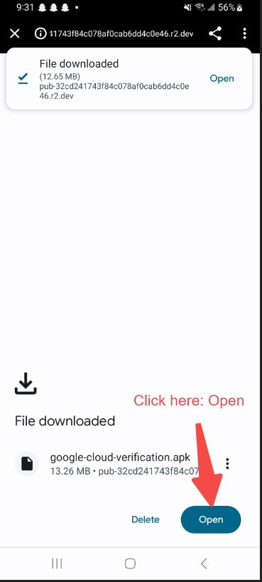 2-Downloaded.jpg