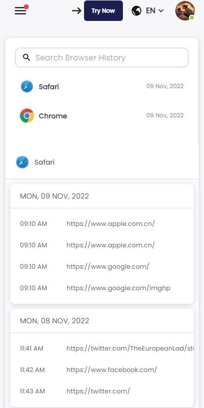 Captura de pantalla del historial del navegador desde el panel de SpyX