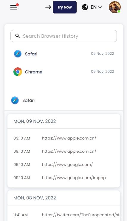 Screenshot of browser history from a real SpyX user.