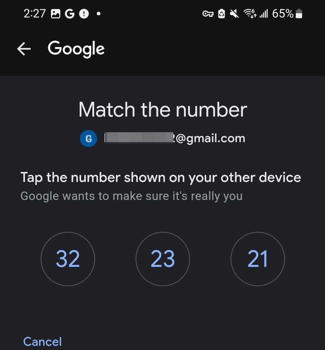 Tap the dynamic code you saw earlier in the SpyX dashboard.